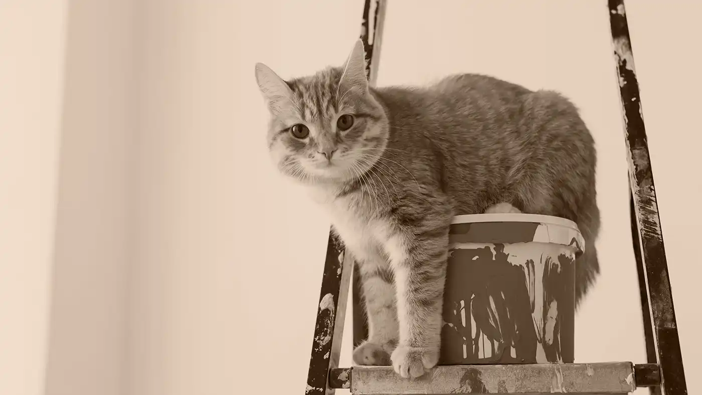 A cat perched on a bucket of paint on a ladder.