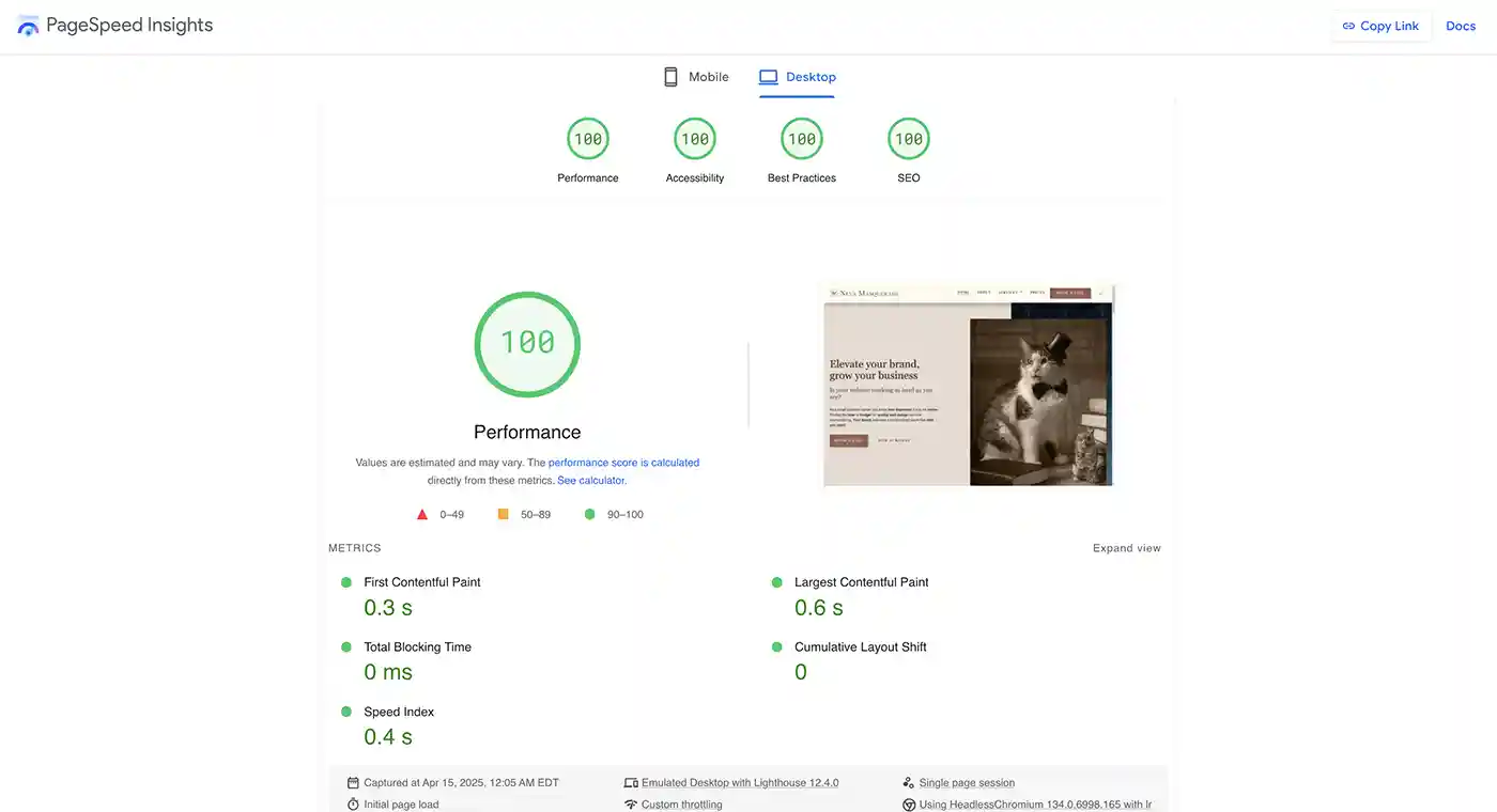 Screenshot showing perfect scores for Neva Masquerade in PageSpeed Insights.