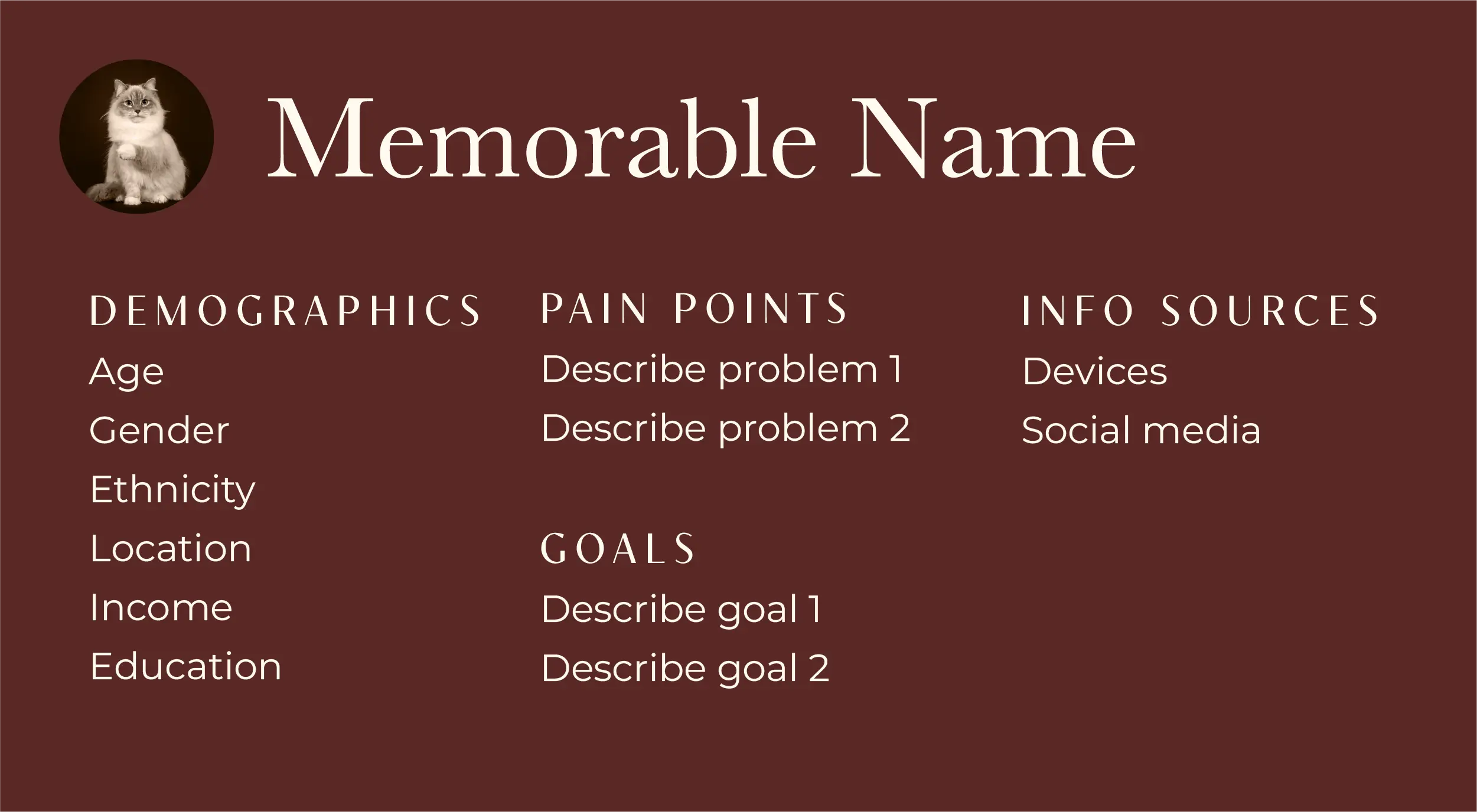 Graphic of a simple persona. Includes placeholder text for a name, demographic details, pain points, goals, and info sources.
