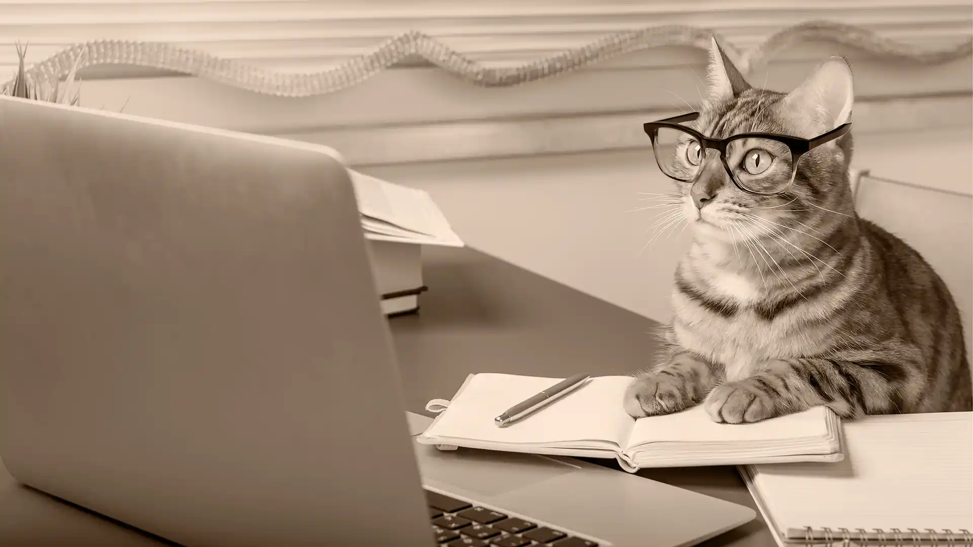A cat wearing glasses looks at a laptop. Its paws are resting on an open notebook and a pen.