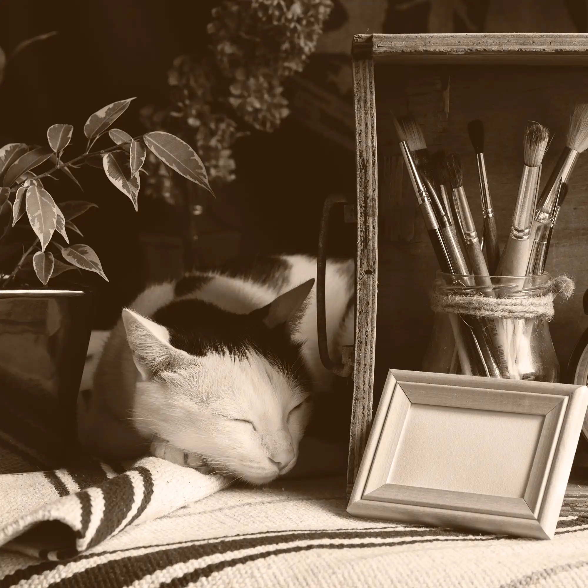 A cat sleeping between art supplies and a plant.