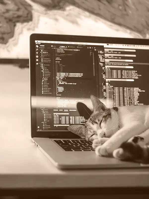 A cat sleeps on an open laptop.