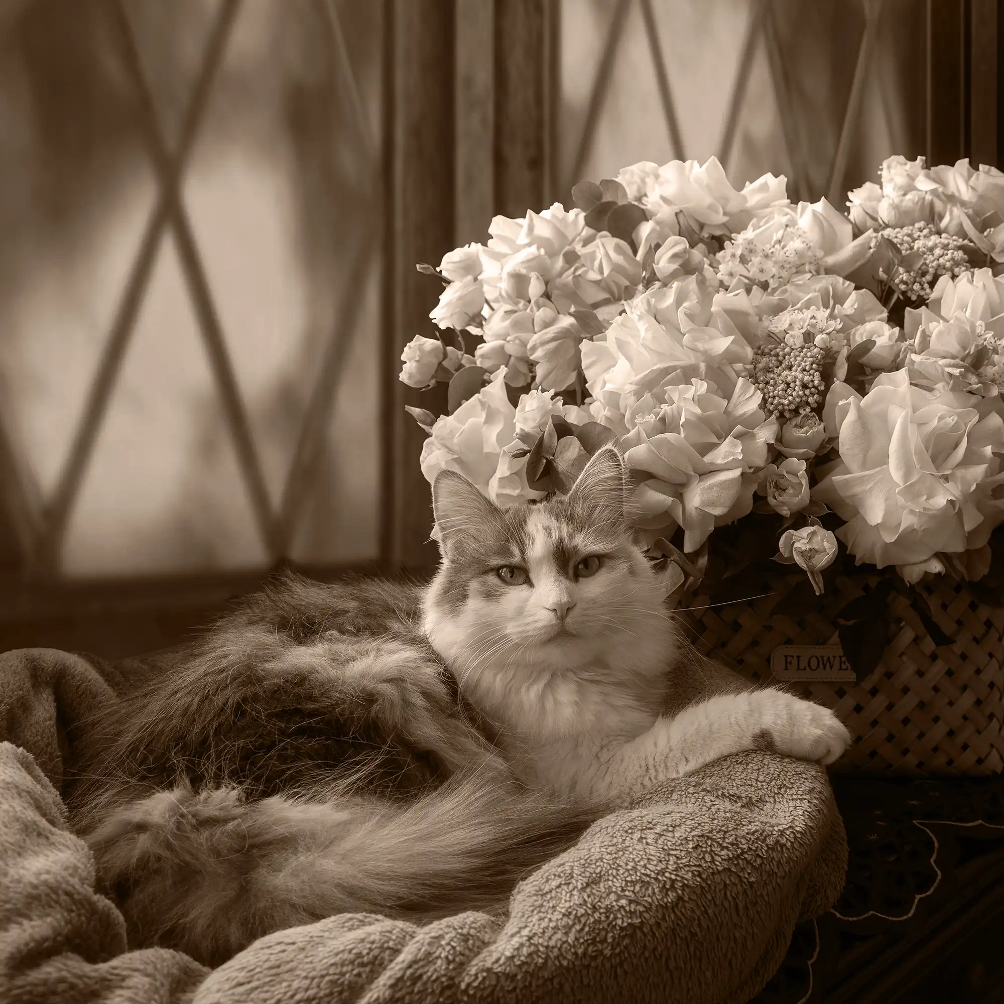 A fluffy cat curled up on a blanket next to a vase of flowers.