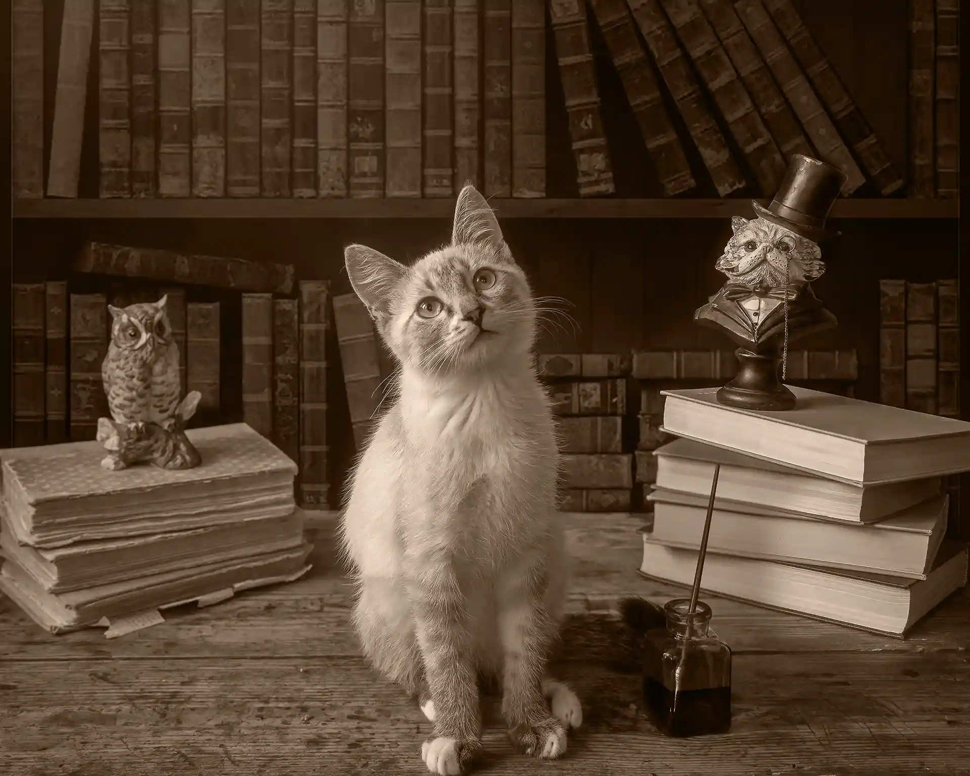 A kitten, looking up, sits between two stacks of books and next to an inkwell.